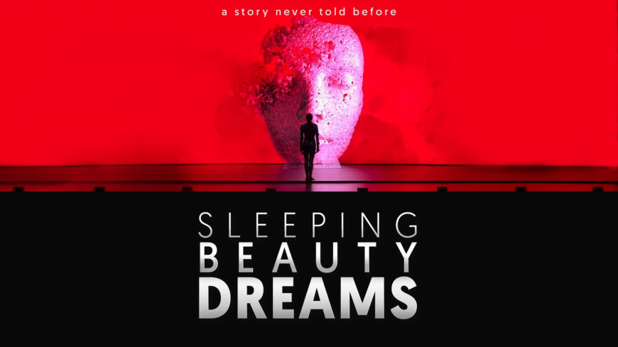 Sleeping Beauty Dreams Show